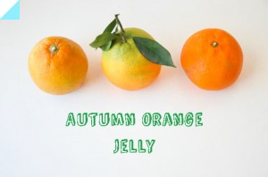 Autumn Orange Jelly