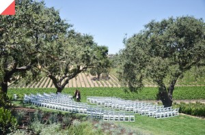 WINE COUNTRY WEDDING